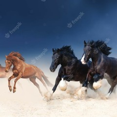 Badwanii galoppiert mit der Air Horse One ins Irrvana