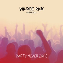 Party Never Ends (Extended Mix)