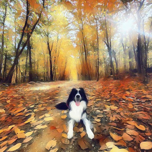 Fall Mix 2023