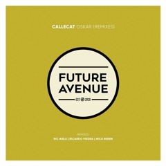 Callecat - Local Host (Ric Niels Remix) [Future Avenue]