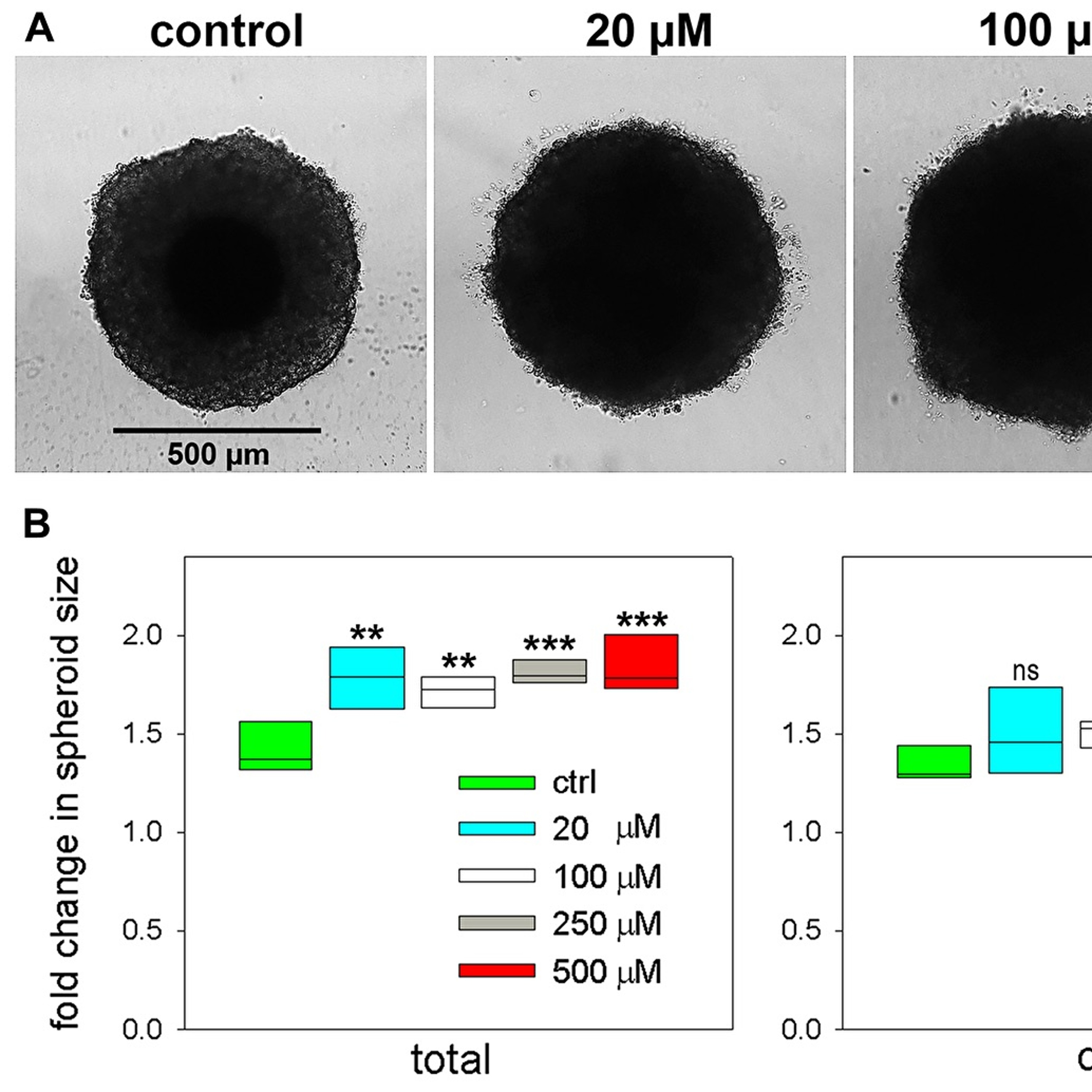 Oncotarget