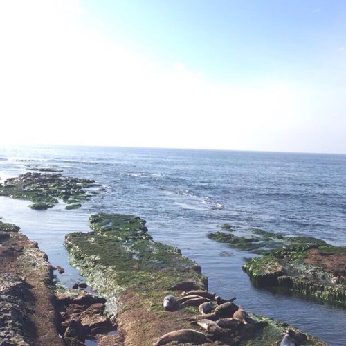 In These Times of Restlessness