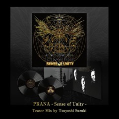 PRANA - Sense of Unity ( Limited Vinyl Edition) Teaser mix by Tsuyoshi Suzuki