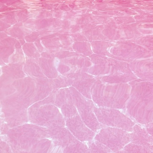 shiloh dynasty ~ losing interest ﾉ8d audioﾉ