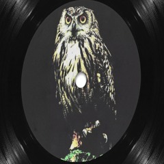 GutterGizmo - Busted (Free DL Bandcamp)