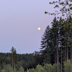 ירח 𖧋 Yareaḥ