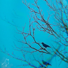 Up Here In The Sky (Artsychoke Cover) - Victor Jones  [FREE DOWNLOAD]