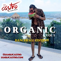Organic Vol 1 Dancehall Mix 2024