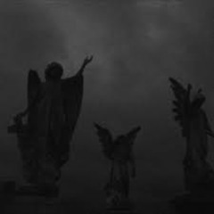 Rosethorn prod Koniacc