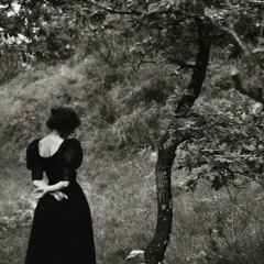 youre losing me- taylor swift (bridge)