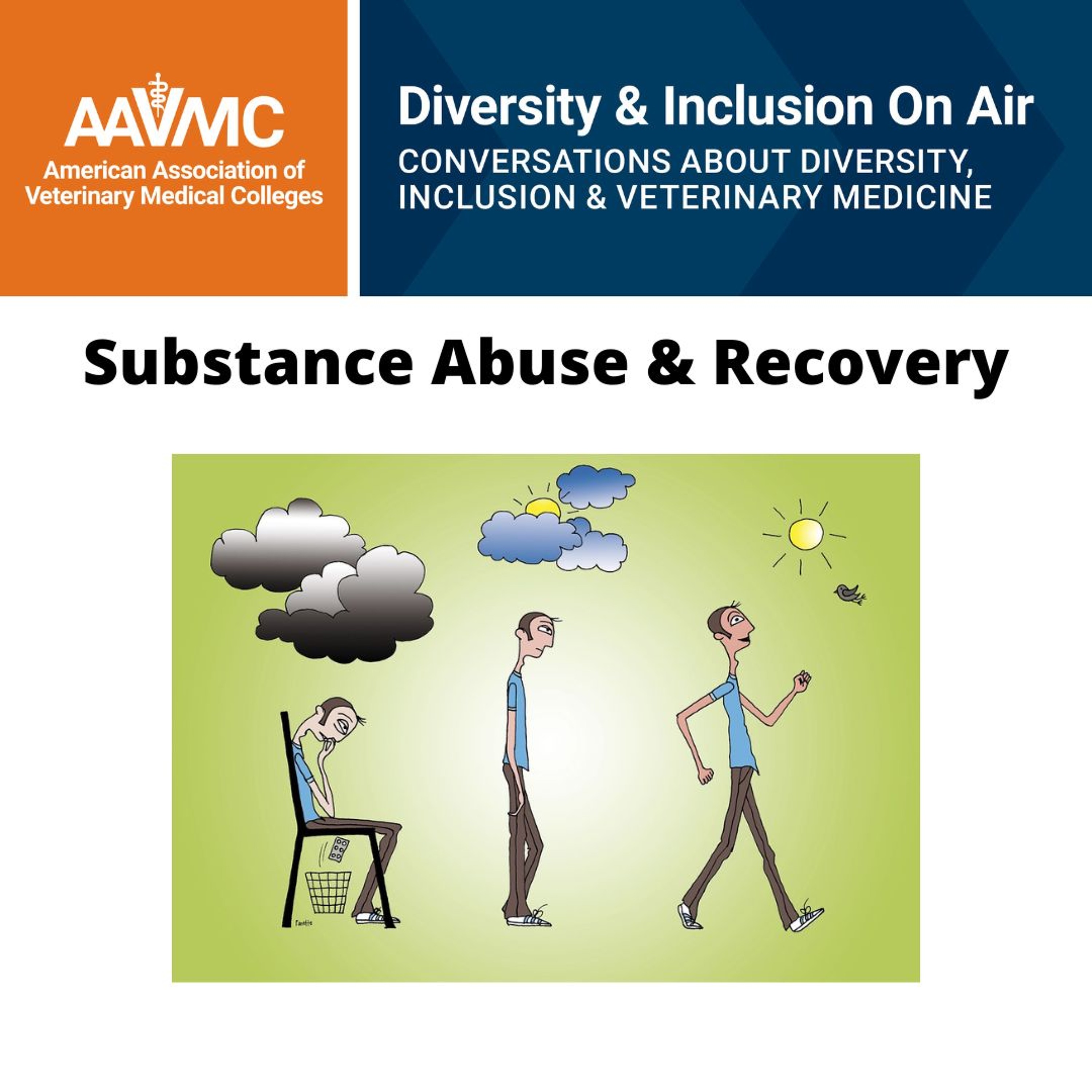 AAVMC\'s On Air: Conversations about Issues in Veterinary Medicine