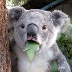 Australia (Science For Girls cover)