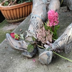 This is how your e-dreams are made of ☘