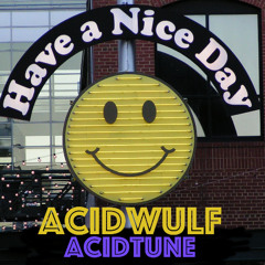 AcidTuneel