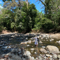 mi casi algo (maqueta)