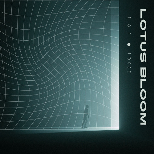 Lotus Bloom Original Mix feat Tosse
