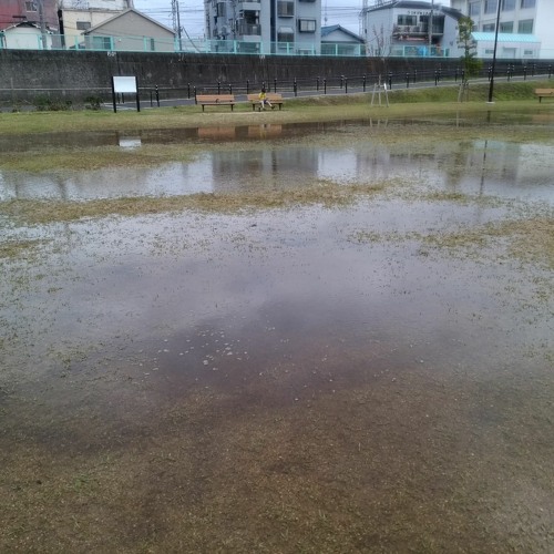 Stream 雨の日 By Keitarotamura Listen Online For Free On Soundcloud