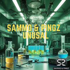SAMMO & PINGZ- UNUSUAL