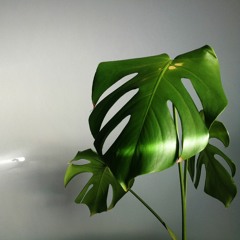 Give It To The Water - Stormzy, Debbie, Jacob Collier (Cover)