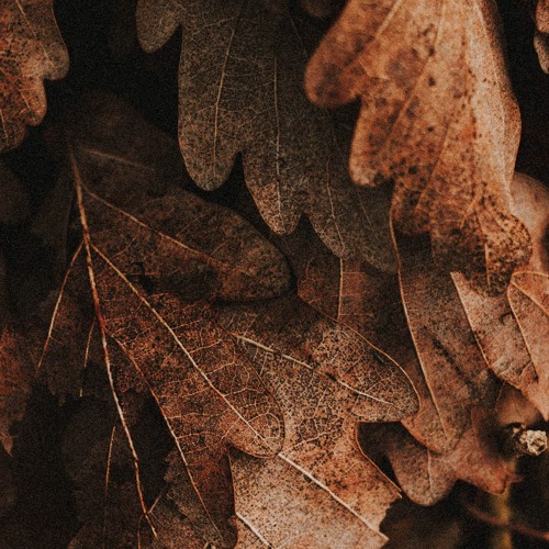 How To Stop Overthinking