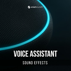 Voice Assistant - Demo