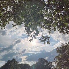 Sounds of the Park w/ Polymers: 7th July '25