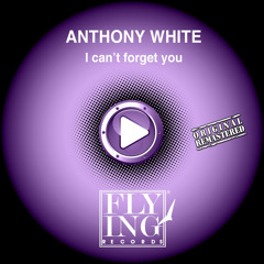 I Can't Forget You (F.O.S. Pleasure Mix)
