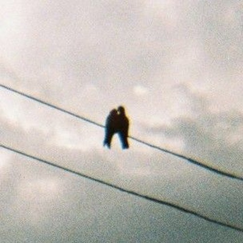 two birds but the final chorus is all the choruses (slowed)