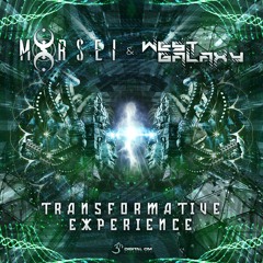 Transformative Experience (Original Mix)