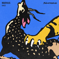 PREMIERE: Marius - Salt [EXP002]
