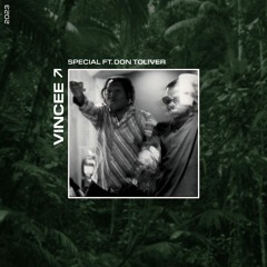 Wizkid - Special Ft. Don Toliver (Vincee Remix)