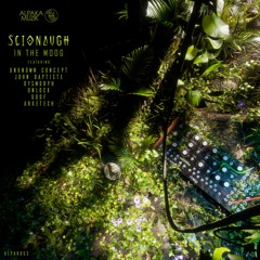 6. Scionaugh - In The Moog (Dysmorph Remix) **PREVIEW**