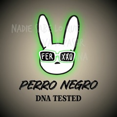 Perro Negro (DNA Tested)