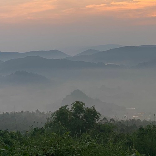 Ngàn khúc ca dang dở