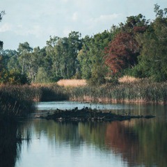 foggy fusion ( instrumental).mp3