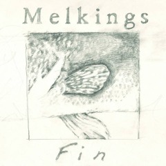 Melkings Fin excerpt Hologram label 2021