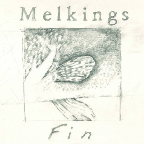 Melkings Fin excerpt Hologram label 2021
