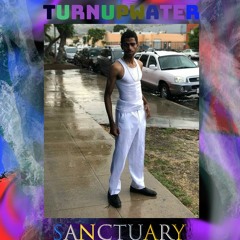 Turnupwater - Sanctuary   *Kingdom of Hearts remix*