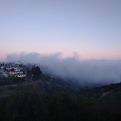 Tardes de Niebla