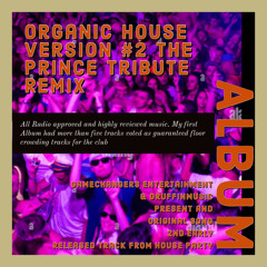 David Ruffin - Ndm - Organic House (Prince 6Tribute2023 - 05 - 28 14 01[1]