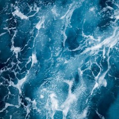 Owl Like Creature - Seven (The Meer)