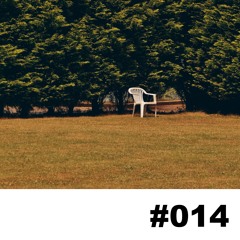 LAF Podcast #014 | Roman Mühlschlegel