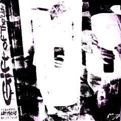 jordan & raf simons (sweety flow)