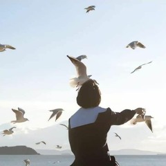 ستجدني هُنا بين حروف نصوص تمنيت لو أني من كتبها