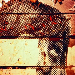 Never Stop Wondering