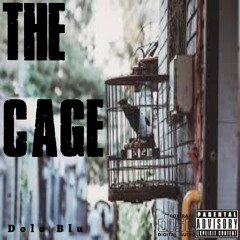 blu2frosty-  went up