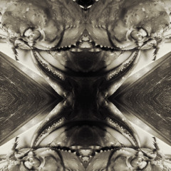 vicissitudes