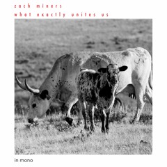 What Exactly Unites Us