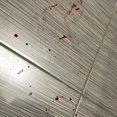 davidmargiela ztraceny pripad