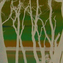 Chaff And Rocketfuel